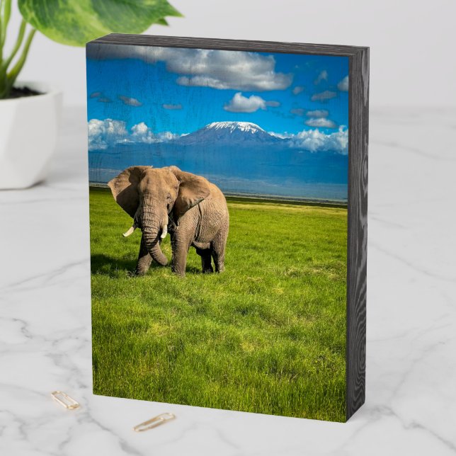 Mountains | Mount Kilimanjaro Tanzania, Africa Wooden Box Sign (In Situ Vertical)