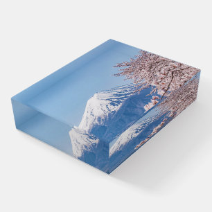 Mountains Mt. Fuji Tokyo, Japan Paperweight