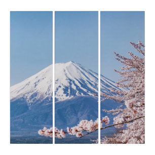 Mountains Mt. Fuji Tokyo, Japan Triptych