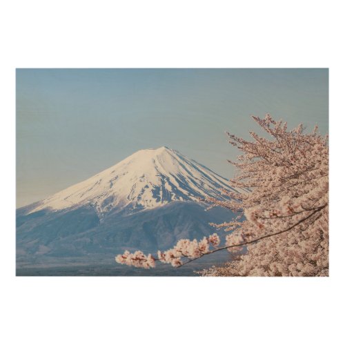 Mountains  Mt Fuji Tokyo Japan Wood Wall Art