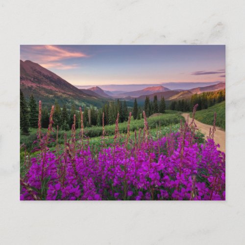 Mountains  Rocky Mountains Colorado Postcard