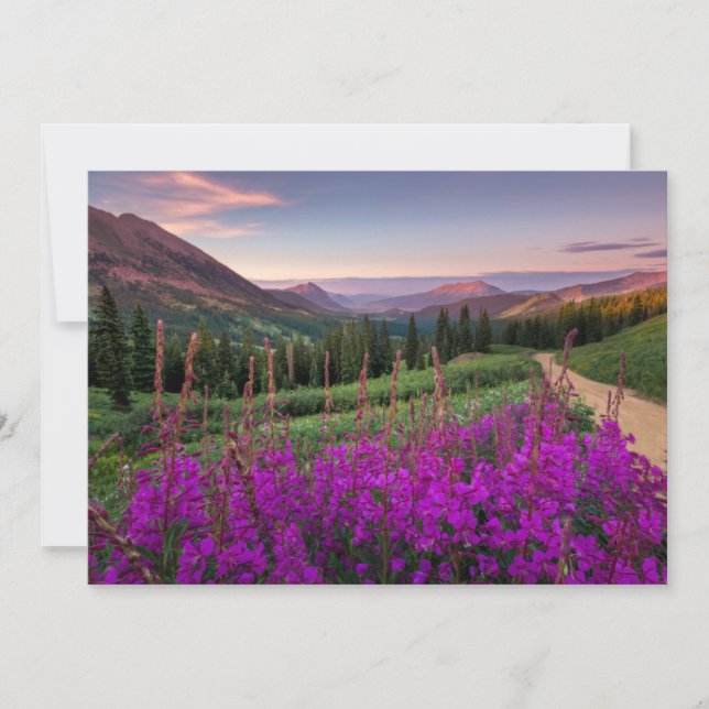 Mountains | Rocky Mountains, Colorado Thank You Card (Front)