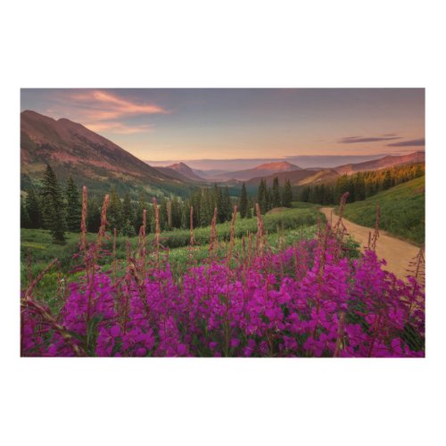 Mountains  Rocky Mountains Colorado Wood Wall Art