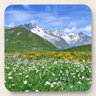 Mountains   Swiss Alps Valley Spring Beverage Coaster