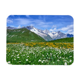 Mountains Swiss Alps Valley Spring Magnet