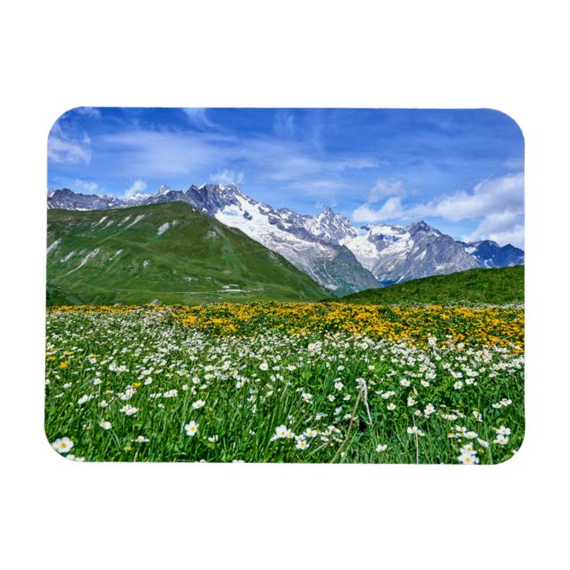 Mountains | Swiss Alps Valley Spring Magnet (Horizontal)