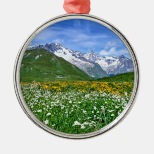Mountains Swiss Alps Valley Spring Metal Ornament