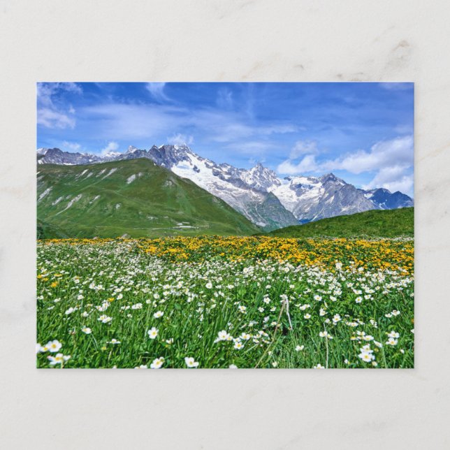Mountains | Swiss Alps Valley Spring Postcard (Front)