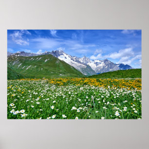 Mountains   Swiss Alps Valley Spring Poster