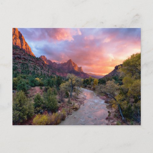 Mountains  The Watchman Zion Nathional Park Utah Postcard