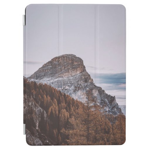 MOUNTAINS UNDER WHITE SKY iPad AIR COVER
