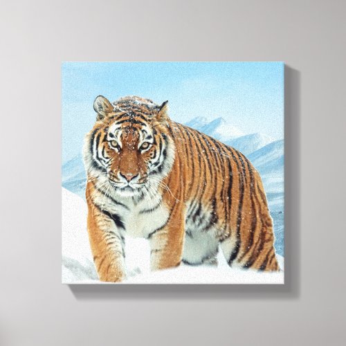 Mountains Winter Snow Nature Photo Tiger Canvas