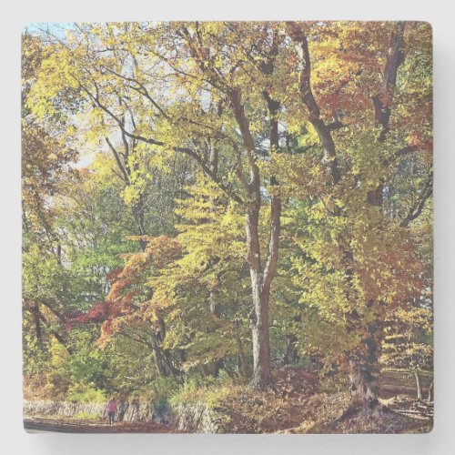 Mountainside NJ _ Autumn Stroll Stone Coaster