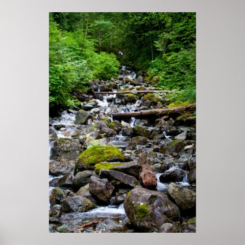 Mountainside Stream Print