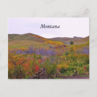 Mountian Colors, Montana Postcard