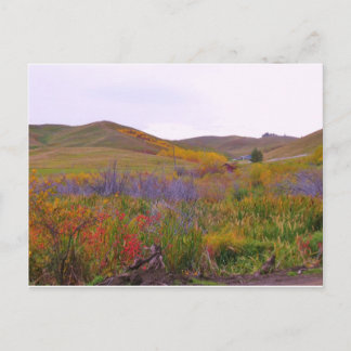 Mountian Colors Postcard