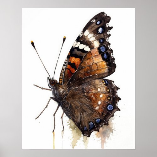 Mourning Cloak Butterfly Art Print Poster