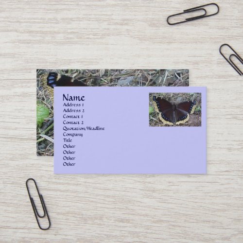 Mourning Cloak Butterfly Business Cards