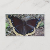 Mourning Cloak Butterfly Business Cards (Back)