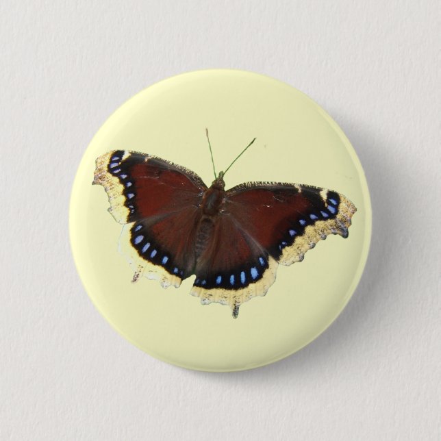 Mourning Cloak butterfly ~ button (Front)