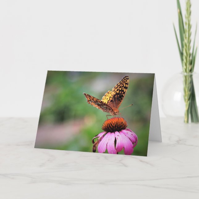 Mourning Cloak Butterfly Cards (Front)