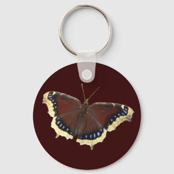 Mourning Cloak Butterfly ~ Keychain by Andy2302 at Zazzle