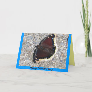 Mourning Cloak Butterfly Mother's Day Card