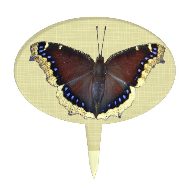 Mourning Cloak Butterfly - Nymphalis antiopa Cake Topper (Front)