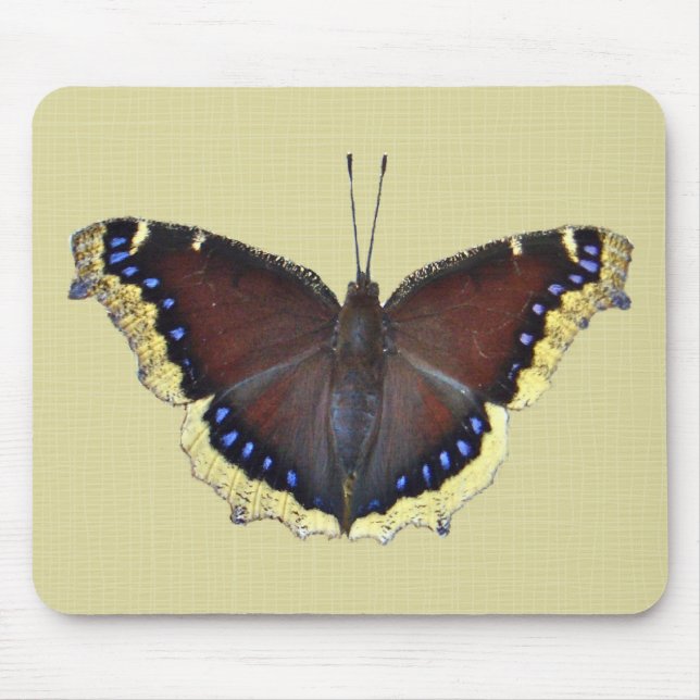 Mourning Cloak Butterfly - Nymphalis antiopa Mouse Pad (Front)
