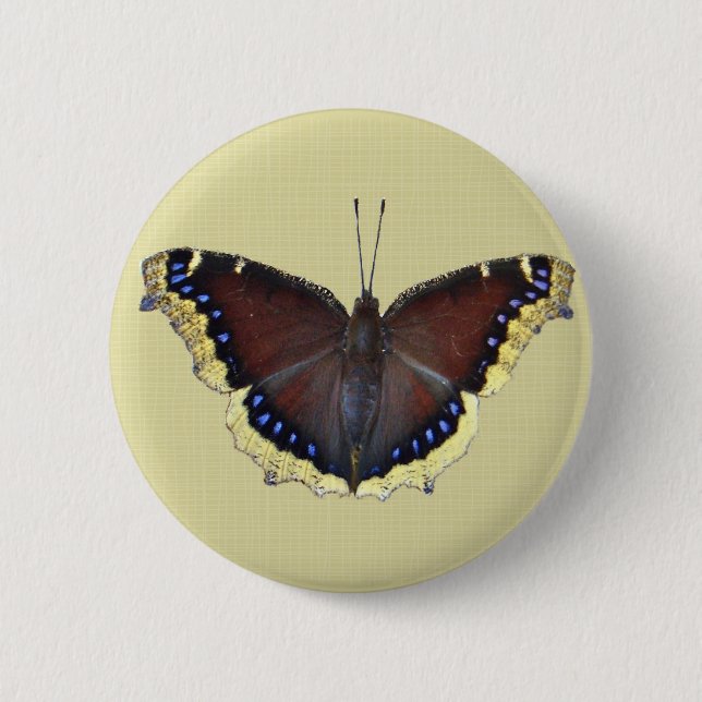 Mourning Cloak Butterfly - Nymphalis antiopa Pinback Button (Front)
