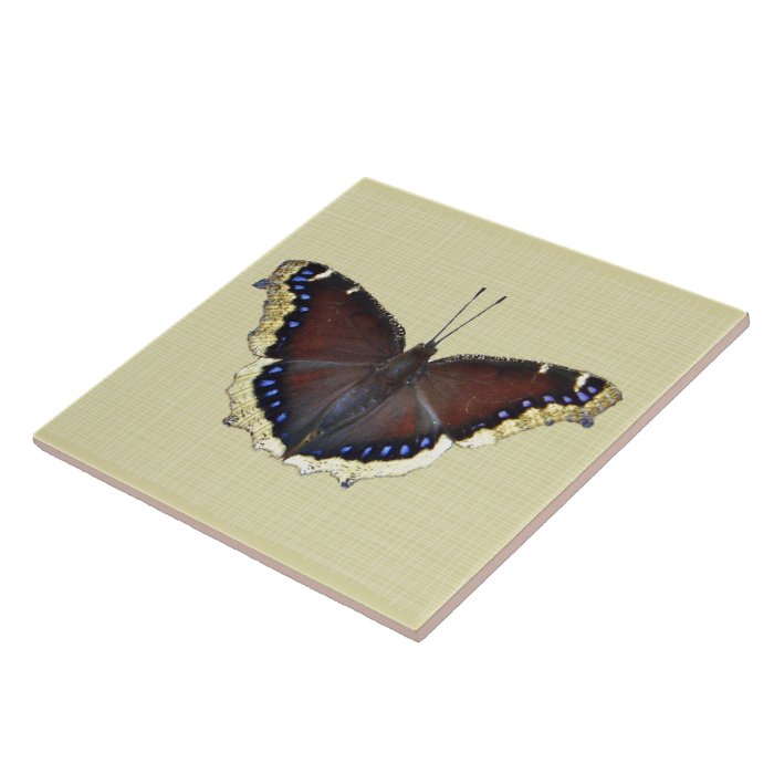 Mourning Cloak Butterfly   Nymphalis antiopa Tile