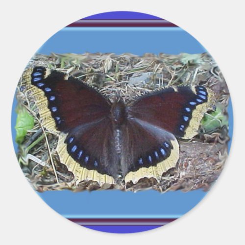 Mourning Cloak Butterfly Stickers