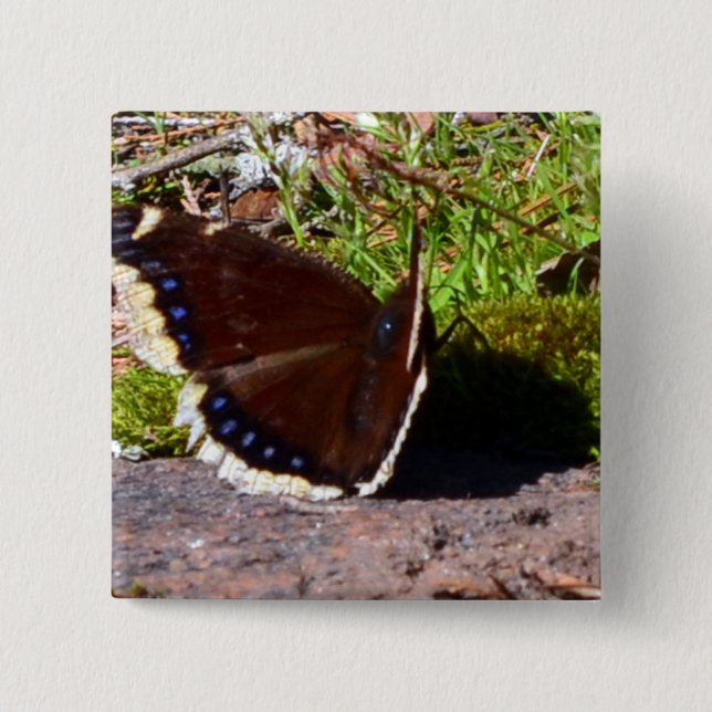Mourning Cloak Butterfly Upclose Button (Front)