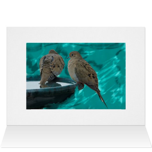 Mourning Dove (Inside Horizontal (Top))