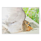 Mourning Dove-Any Occasions_ (Front Horizontal)