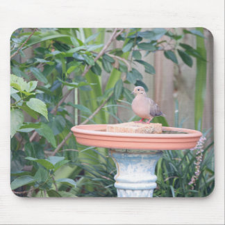 Mourning Dove at Birdbath Mouse Pad