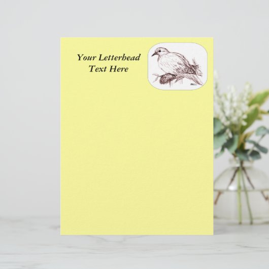 Mourning Dove Baby (Standing Front)