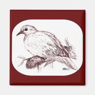 Mourning Dove Baby Magnet