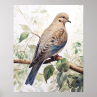 Mourning Dove Bird Art Print Poster