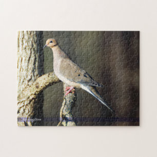 Mourning Dove Bird Puzzle