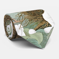 Mourning Dove Birds Flowers Audubon Wildlife Tie