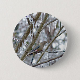 Mourning Dove Button