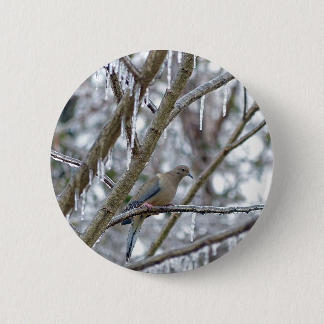 Mourning Dove Button (Front)