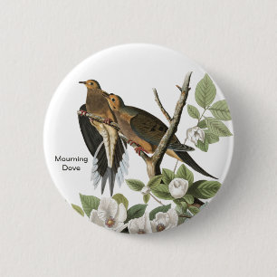 Mourning Dove by John James Audubon, Birdwatcher Button