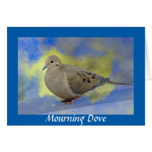 Mourning Dove Cards