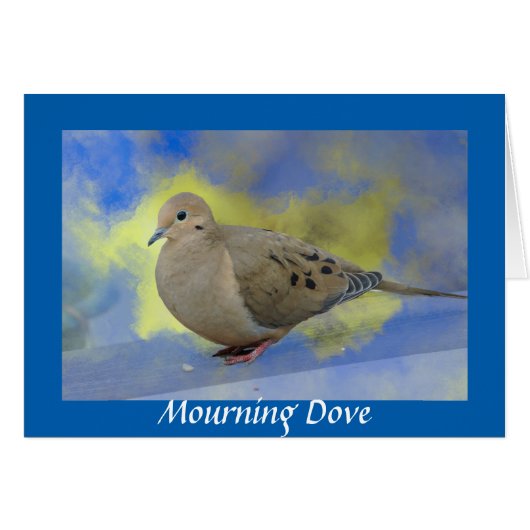 Mourning Dove Cards (Front Horizontal)