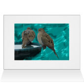 Mourning Dove Cards (Inside Horizontal (Top))