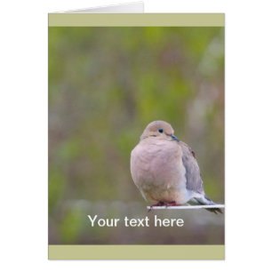 Mourning Dove Cards