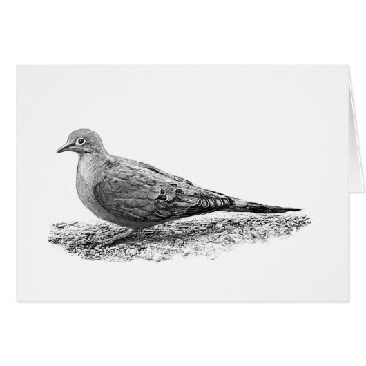 Mourning Dove Cards (Front Horizontal)