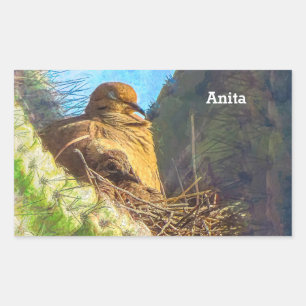 Mourning Dove Female With Baby Saguaro Cactus Nest Rectangular Sticker